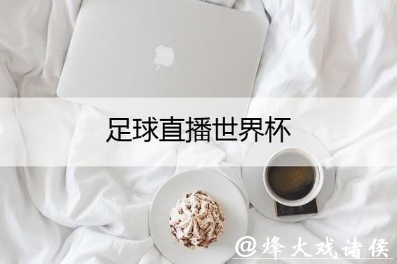 世界杯直播平台哪个最好用